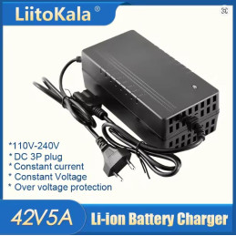 Cargador 10S-42V5A
