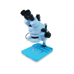 Microscopio Trinocular...
